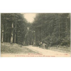 carte postale ancienne 88 LES COLS DES VOSGES. Le Col du Chipal entre Fraize et La Croix aux Mines 1915