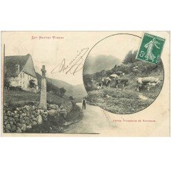 carte postale ancienne 88 LES HAUTES VOSGES. Ferme Vosgienne et Paturage 1909