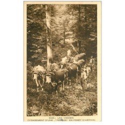 carte postale ancienne 88 LES VOSGES. Bûcherons et Boeufs au dégagement d'une Trousse en Forêt Herival