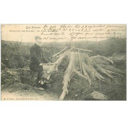88 LES VOSGES. Extraction des Souches par le Vieux Bûcheron 1905