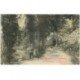 carte postale ancienne 88 LES VOSGES. La Vologne et Route de Kichompré