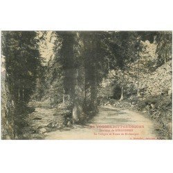carte postale ancienne 88 LES VOSGES. La Vologne et Route de Kichompré