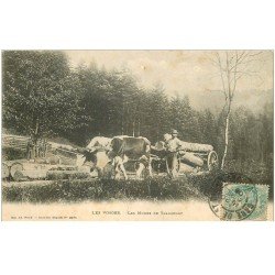 carte postale ancienne 88 LES VOSGES. Les Modes de Transports. Attelage de Boeufs transport de Bois 1906