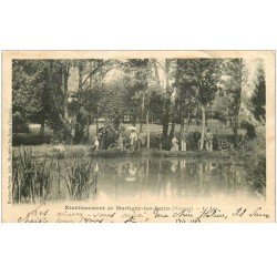 carte postale ancienne 88 MARTIGNY LES BAINS. Le Lac 1903. Timbre manquant