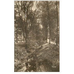 carte postale ancienne 88 MARTIGNY LES BAINS. Un coin du Parc