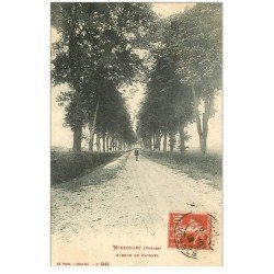 carte postale ancienne 88 MIRECOURT. Avenue de Ravenel 1912 avec promeneur