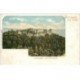 carte postale ancienne 88 MONT SAINTE ODILE. ODILIENBERG vers 1900