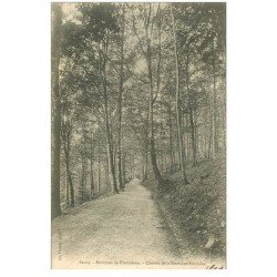 carte postale ancienne 88 PLOMBIERES LES BAINS. Chemin Fontaine Stanislas 1904