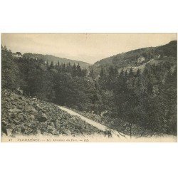 carte postale ancienne 88 PLOMBIERES LES BAINS. Les Moraines du Parc