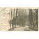 carte postale ancienne 88 REMIREMONT. Allée du Calvaire 1903