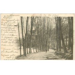 carte postale ancienne 88 REMIREMONT. Allée du Calvaire 1903