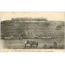 carte postale ancienne 88 ROUCEUX. Ecole Agriculture avec Paysans dans un Champ de Labour 1917