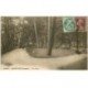 carte postale ancienne 88 SAINT DIE. Le Parc 1926 animation