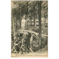 carte postale ancienne 88 SAUT DES CUVES. Vue sur Hôtel Restaurant 1930 et Petite Passerelle