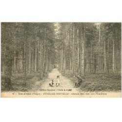 carte postale ancienne 88 VAL D'AJOL. Chemin sous bois vers Plombières. Timbre absent