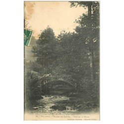 carte postale ancienne 88 VAL D'AJOL. Homme allongé sur Pont de la Véche Vallée des Roches 1908