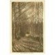 carte postale ancienne 88 VAL D'AJOL. Sous Bois 1935