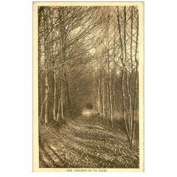 carte postale ancienne 88 VAL D'AJOL. Sous Bois 1935
