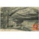 carte postale ancienne 88 VALLEE DE CELLES. Roches de Cherrepierre animation 1911