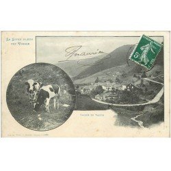 carte postale ancienne 88 VALLEE DU VALTIN 1909