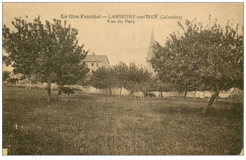 carte postale ancienne 14 LANGRUNE-SUR-MER. Vue du Parc