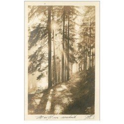 carte postale ancienne 88 VOLOGNE. Chemin de Forêt. Carte photo séries Jové