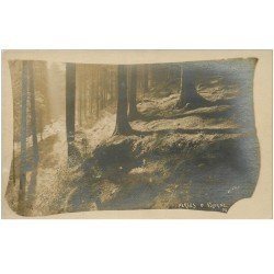carte postale ancienne 88 VOLOGNE. Les Sous Bois. Carte photo séries Jové