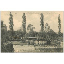 carte postale ancienne 14 LE BREUIL-EN-AUGE. Cascade de Vannage avec personnages dessus