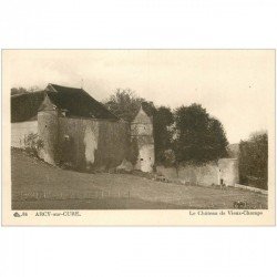 carte postale ancienne 89 ARCY SUR CURE. Le Château de Vieux Champs
