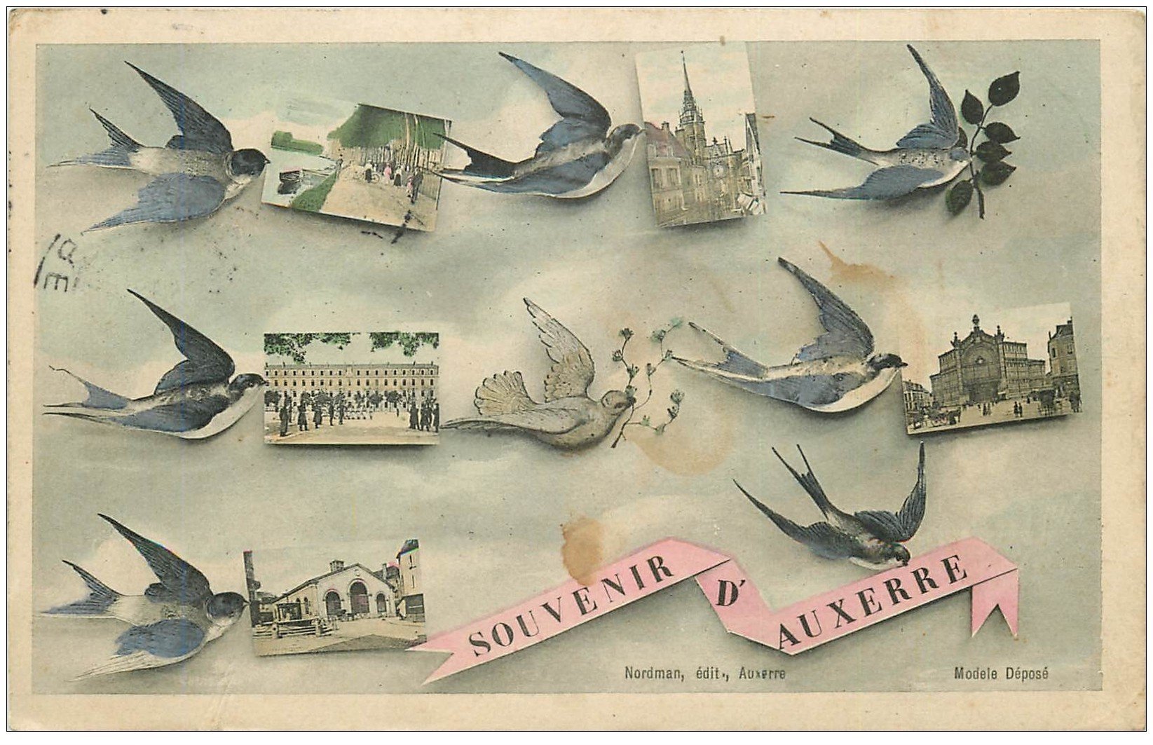 carte postale ancienne 89 AUXERRE. Multivues avec Hirondelles 1907