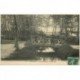 carte postale ancienne 89 AUXERRE. Passerelle à l'Arbre Sec animation 1910