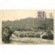 carte postale ancienne 89 CHATELET. Les Gorges de l'Yonne 1939 Personnage assis avec Oies et Canards