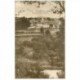 carte postale ancienne 89 COULANGES SUR YONNE. Vue prise du Bois de Sapins vers 1905