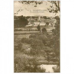 carte postale ancienne 89 COULANGES SUR YONNE. Vue prise du Bois de Sapins vers 1905