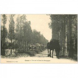 carte postale ancienne 89 CRAIN. Chevaux tirant une Péniche sur Canal de Bourgogne 1907. Le halage
