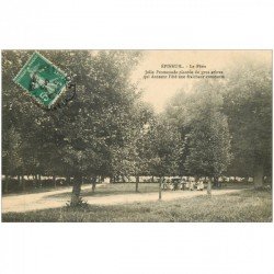 carte postale ancienne 89 EPINEUIL. Le Pâtis 1912 avec Ronde d'enfants