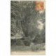 carte postale ancienne 89 FONTAINE LA GAILLARDE. Le Platane et personnage à l'Abreuvoir 1929