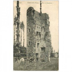 carte postale ancienne 89 GIROLLES. Tour de Brunehaut avec Vaches et Veau et Pigeonnier