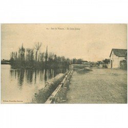 carte postale ancienne 89 ILE LEON JOANY. Sur la Vienne