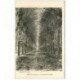 carte postale ancienne 89 JOIGNY. Promenade du Mail