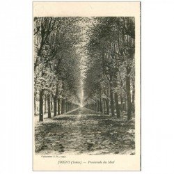 carte postale ancienne 89 JOIGNY. Promenade du Mail