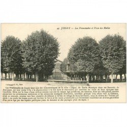 carte postale ancienne 89 JOIGNY. Promenades et Place des Halles