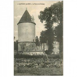 carte postale ancienne 89 SAUVIGNY LE BOIS. Tour et Château avec Jardinier