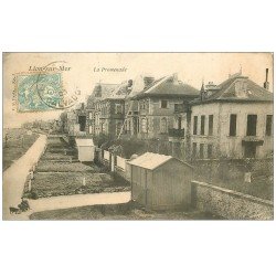 carte postale ancienne 14 LION-SUR-MER. La Promenade 1905