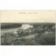 carte postale ancienne 91 ATHIS MONS. Panorama sur la Seine