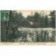 carte postale ancienne 91 BALLANCOURT SUR ESSONNE. Villa de l'Ile Verte et Etang de la Cabane 1908 avec Pêcheur