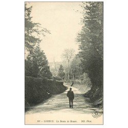 carte postale ancienne 14 LISIEUX. La Route de Rouen (pli transversal invisible)...