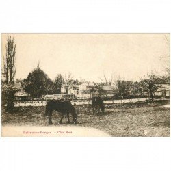 carte postale ancienne 91 BRIIS SOUS FORGE. Chevaux dans les Prés