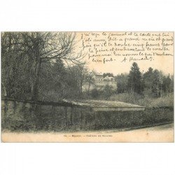 carte postale ancienne 91 BRUNOY. Château de Soulins 1904