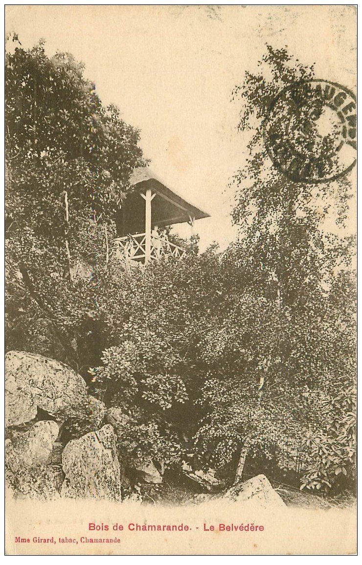 carte postale ancienne 91 CHAMARANDE. Le Belvédère du Bois